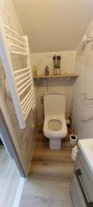 a small bathroom with a toilet and a sink at Studio Arc en Ciel in Bouguenais +14 photos