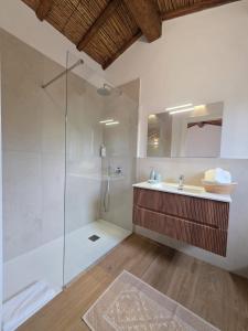 a bathroom with a shower and a sink and a mirror at Stazzu Barecca B&B in Cugnana Verde