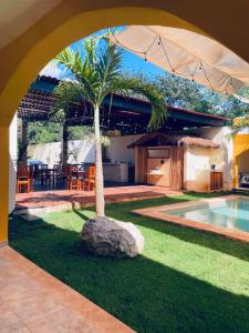 a palm tree in the middle of a yard with an umbrella at Hotel Villa Chucum in Valladolid