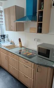 a kitchen with a counter top with a microwave at Ferienwohnung Lea in Sangerhausen