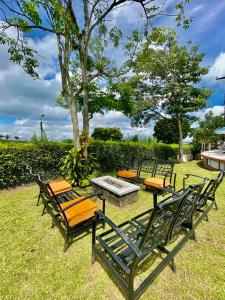 a group of chairs and tables and a tree at Finca Premium en el Eje Cafetero in Ulloa