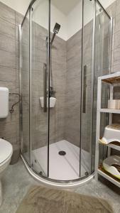 a bathroom with a shower with a toilet and a sink at Barka Vendégház Tisza-tó in Abádszalók +17 photos