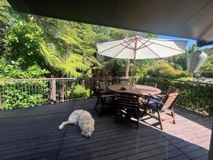 a dog laying on a deck with a table and an umbrella at The Bach at Te Toki in Palm Beach