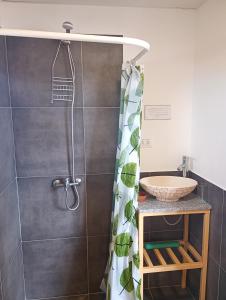 a bathroom with a shower and a sink at Refugio Vegetariano El Mallín - sobre playa in Camarones