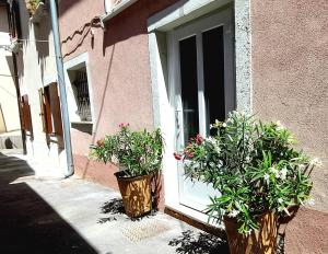 two potted plants sitting in front of a window at Holiday House - Bella Nicol in Koper