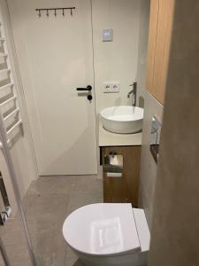 ein Badezimmer mit Toilette und Waschbecken in der Unterkunft Marè studio in Neringa + 20 Fotos