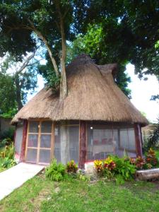 une petite cabane avec un toit de paille et un arbre dans l'établissement Cabañas Zoh Laguna Calakmul, à Xpujil