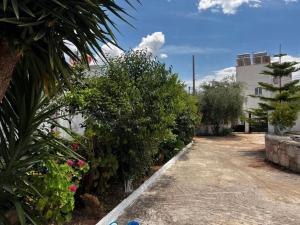 a garden with bushes and flowers in front of a building at VIOLA Seaside Villa in Ksamil