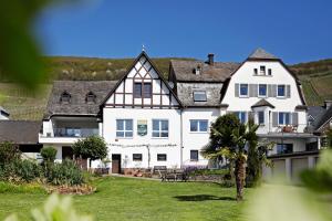 a large white house with a green yard at Apartment MOSELGARTEN - ÜberSchwang in Piesport +18 photos