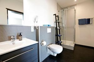 a bathroom with a toilet and a sink and a shower at Apartment MOSELGARTEN - ÜberSchwang in Piesport