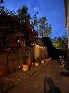 a shadow of a person standing next to a wall with lights at Monkey Puzzle Apartment No1 in Bunclody