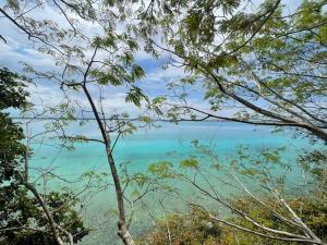 a view of the ocean through the trees at Deluxe loft with direct access to the lagoon in Momoxpan