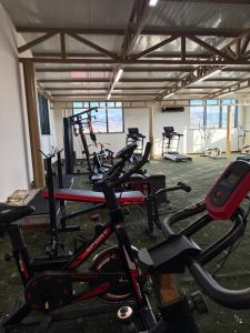 a gym with several bikes parked in a room at Lalaner Hotel in Sisian