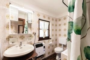 a bathroom with a sink and a toilet and a mirror at Chalet Niki BELLAGIO in Bellagio +40 photos