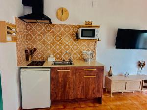 a kitchen with a sink and a microwave at Casablanca El Petit Hotel in Deltebre