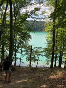 two people standing in the woods looking at a lake at DOM LAGOWSKI z SAUNA in Łagów