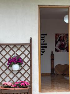 a room with a potted plant on a wall at Villa Apollonia Guest House in Fier