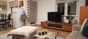 a living room with a flat screen tv on a entertainment center at Zagrljaj prirode in Blagaj