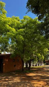 a group of trees in front of a building at pousada recanto gerais in Carmo do Rio Claro