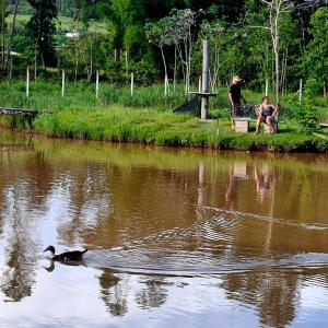 a man sitting on a bench next to a duck in a lake at pousada recanto gerais in Carmo do Rio Claro