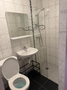 a bathroom with a shower and a toilet and a sink at Petite Chambre lit Superposée in Toul