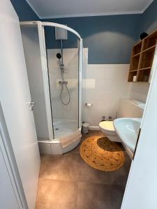 a bathroom with a shower and a toilet and a sink at DÜNENHAUS Sellin in Ostseebad Sellin +80 photos