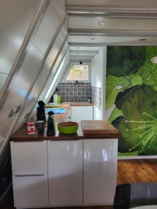 a kitchen with white cabinets and a green mural on the wall at Nurdachhaus Ferienpark Schellbronn in Schellbronn