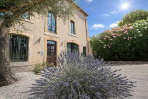 a house with a purple plant in front of it at LE 139 carcassonne in Carcassonne