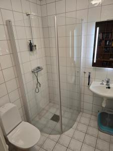 a bathroom with a shower and a toilet and a sink at Klaus torgårds vei 8b in Oslo +17 photos
