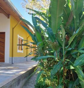 a banana tree in front of a yellow building at Recanto do Ipê in Extrema