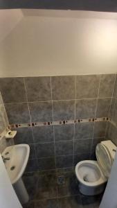 a bathroom with a toilet and a sink at Alojamiento Hugo in Río Segundo