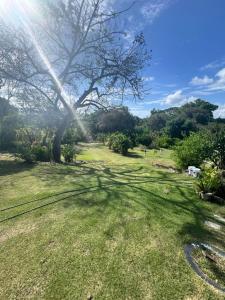 a tree casts a shadow on the grass at Senderos de Ana in San Carlos