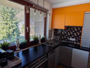 a kitchen with a sink and a cat sitting in a window at Apartment Auszeit nahe Faaker See 24h Self Check-in in Latschach