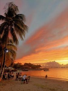 a group of people sitting under a palm tree on a beach at T2 tout confort Vue Panoramique in Sainte-Anne