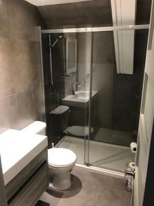 a bathroom with a shower and a toilet and a sink at Mont Ste-Anne Chalet in Beaupré +14 photos