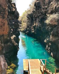 a river with a bridge in a rocky canyon at Casa Galarous Island in Puerto Ayora