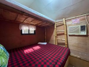 a bedroom with a bunk bed and a ladder at INS n OUTZ in Bolinao +3 photos