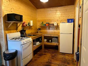 a small kitchen with a stove and a refrigerator at Last Spike Lodging in Malakwa