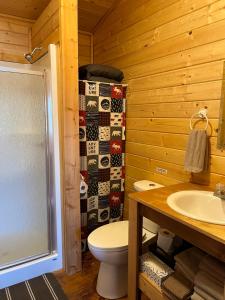 a bathroom with a toilet and a sink at Last Spike Lodging in Malakwa +13 photos