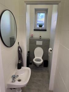 a bathroom with a toilet and a sink and a mirror at Teplice Apartments 2 in Teplice