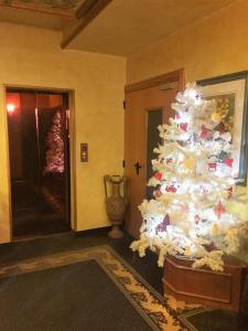Foto Madonna di Campiglios asuva majutusasutuse Hotel Tosa galeriist