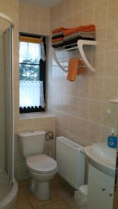 グロヴェにあるFerienwohnung Köhlerのトイレと洗面台付きのバスルーム +17枚の写真