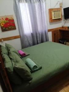 a bed with two pillows on it in front of a window at Maraño's Home in Legazpi