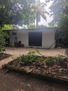 a white building with a large screen in a yard at The Paradise Jungle Studio in Coco