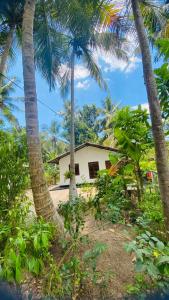a house with palm trees in front of it at Mangala gust house in Habaraduwa Central