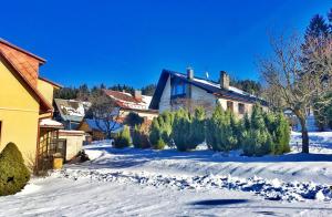 Una casa con árboles de Navidad en la nieve en Pension U Váňů, en Benecko