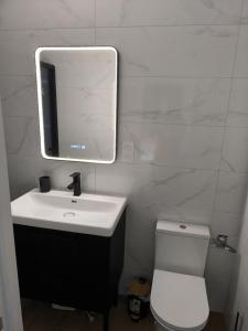 a bathroom with a sink and a toilet and a mirror at Studio indépendant face à la forêt in Aureilhan