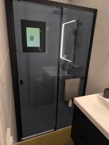 a shower with a glass door in a bathroom at Studio indépendant face à la forêt in Aureilhan