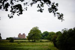 a building in a field with a tree in the foreground at Soulton Hall in Wem