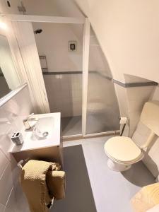 a bathroom with a shower and a toilet and a sink at Suite Del Borgo in Gallipoli
